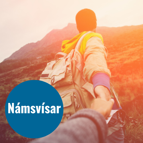 Gerð námsvísa. Fáanlegt sem starfsdagur eða námskeið (heill dagur).