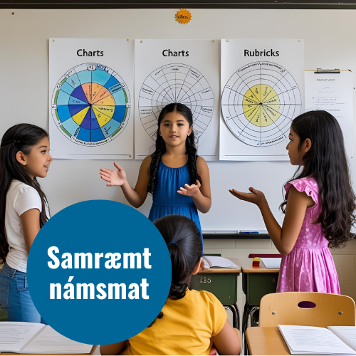 Samræmt námsmat og gerð kennsluáætlana í grunnskólum (hálfur dagur).